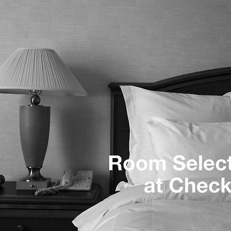 Hotel 7 Saisons Montreal Bilik gambar